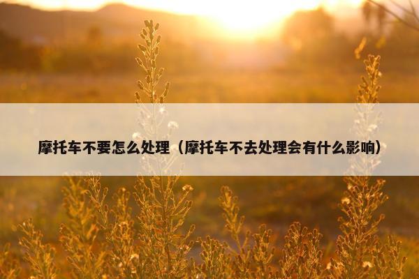 摩托车不要怎么处理（摩托车不去处理会有什么影响）