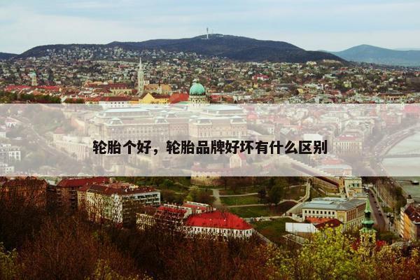 轮胎个好，轮胎品牌好坏有什么区别