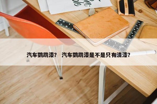 汽车鹦鹉漆？ 汽车鹦鹉漆是不是只有清漆？