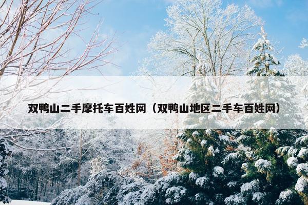 双鸭山二手摩托车百姓网（双鸭山地区二手车百姓网）