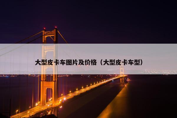 大型皮卡车图片及价格（大型皮卡车型）