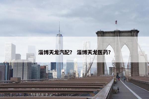 淄博天龙汽配？ 淄博天龙医药？