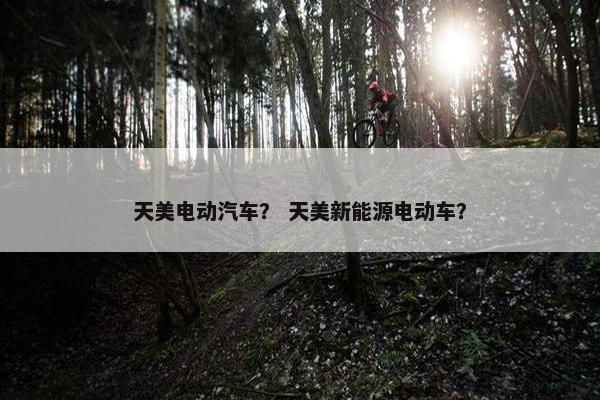 天美电动汽车？ 天美新能源电动车？