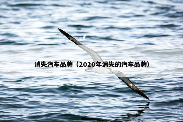 消失汽车品牌（2020年消失的汽车品牌）