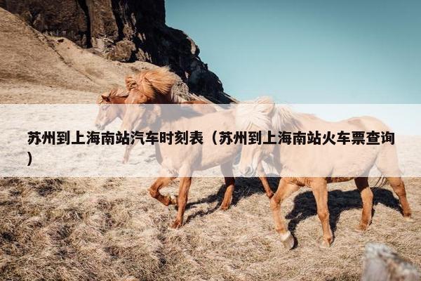 苏州到上海南站汽车时刻表（苏州到上海南站火车票查询）