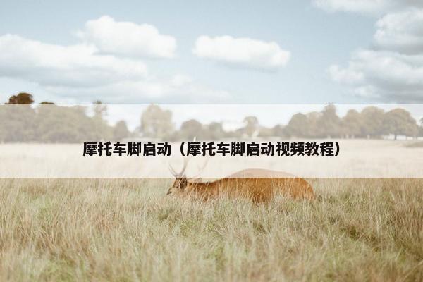 摩托车脚启动（摩托车脚启动视频教程）