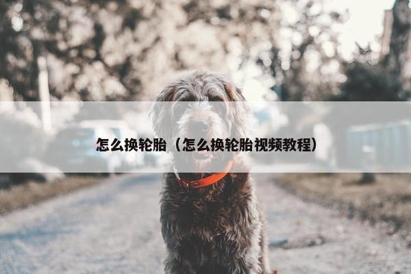 怎么换轮胎（怎么换轮胎视频教程）