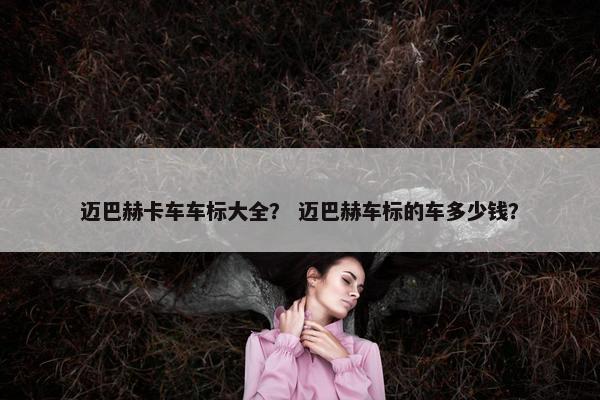 迈巴赫卡车车标大全？ 迈巴赫车标的车多少钱？