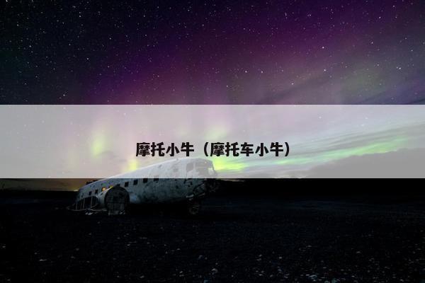 摩托小牛（摩托车小牛）