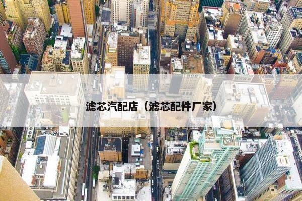 滤芯汽配店（滤芯配件厂家）