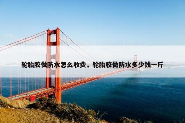 轮胎胶做防水怎么收费，轮胎胶做防水多少钱一斤