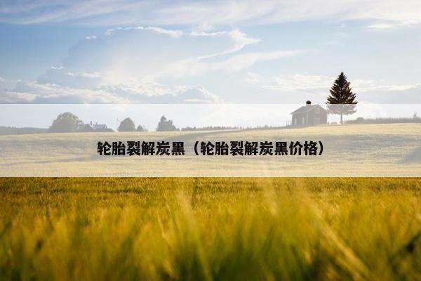 轮胎裂解炭黑（轮胎裂解炭黑价格）