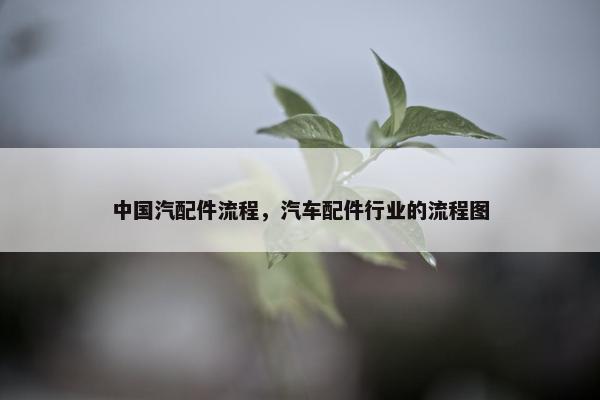 中国汽配件流程，汽车配件行业的流程图