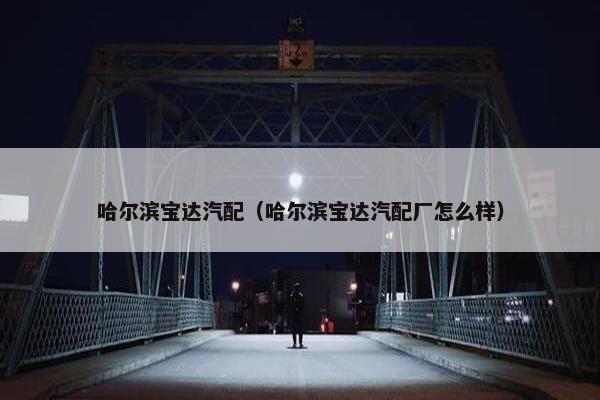 哈尔滨宝达汽配（哈尔滨宝达汽配厂怎么样）