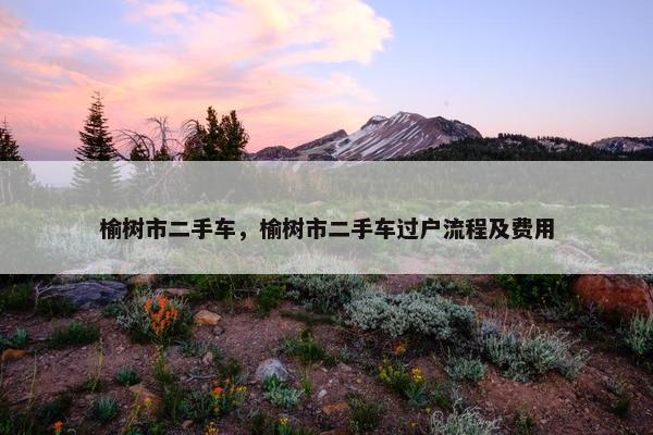 榆树市二手车，榆树市二手车过户流程及费用