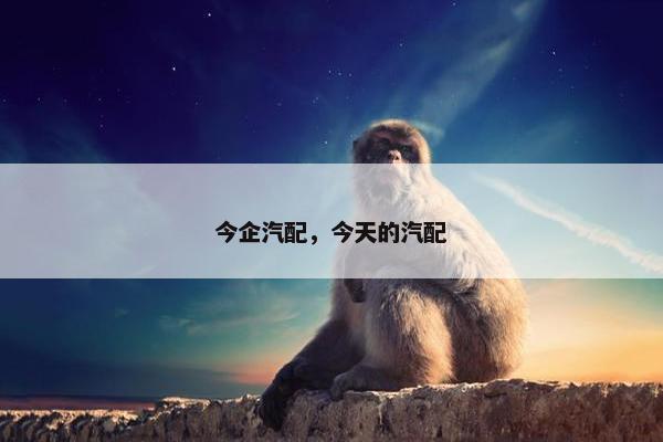 今企汽配，今天的汽配