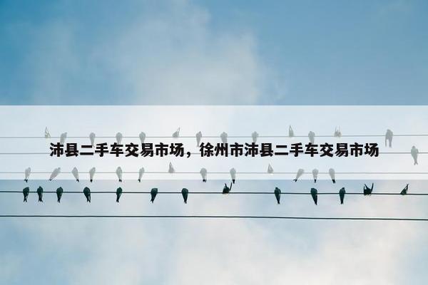 沛县二手车交易市场，徐州市沛县二手车交易市场