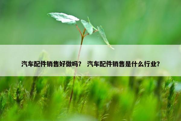 汽车配件销售好做吗？ 汽车配件销售是什么行业？