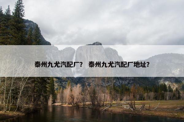 泰州九尤汽配厂？ 泰州九尤汽配厂地址？