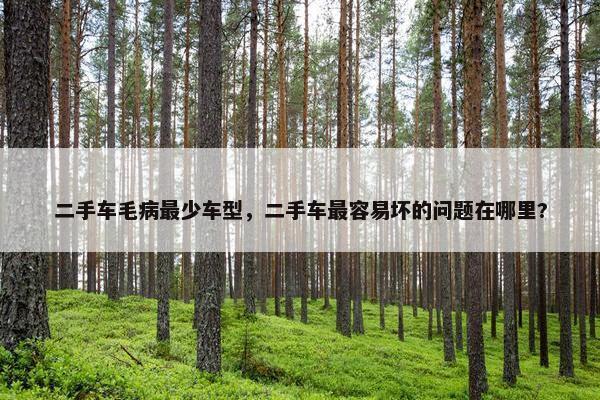 二手车毛病最少车型，二手车最容易坏的问题在哪里?