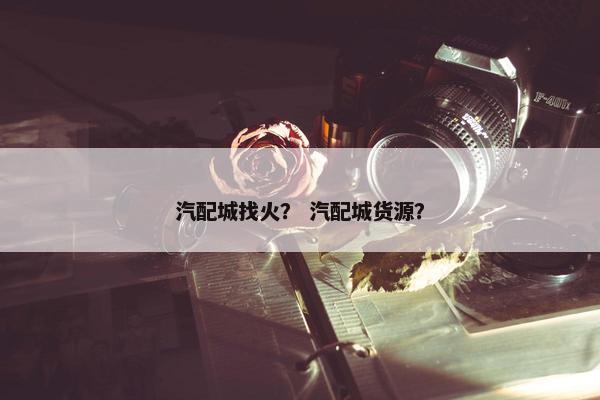 汽配城找火？ 汽配城货源？