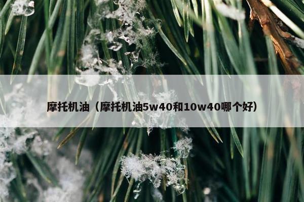 摩托机油（摩托机油5w40和10w40哪个好）