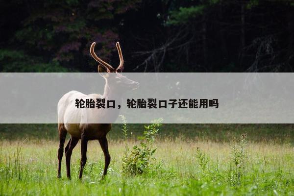 轮胎裂口，轮胎裂口子还能用吗