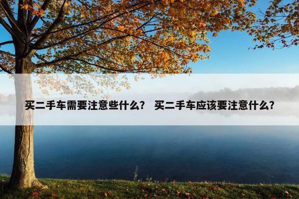 买二手车需要注意些什么？ 买二手车应该要注意什么？