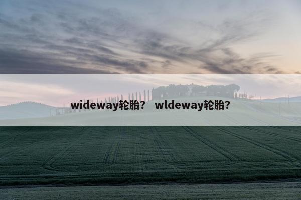 wideway轮胎？ wldeway轮胎？