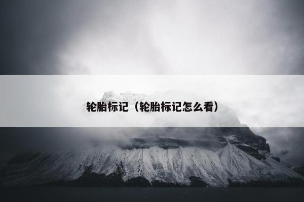 轮胎标记（轮胎标记怎么看）