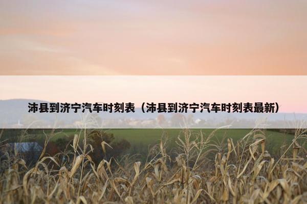 沛县到济宁汽车时刻表（沛县到济宁汽车时刻表最新）