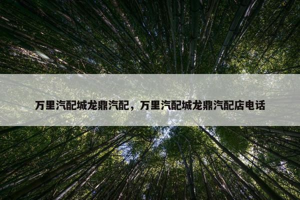 万里汽配城龙鼎汽配，万里汽配城龙鼎汽配店电话