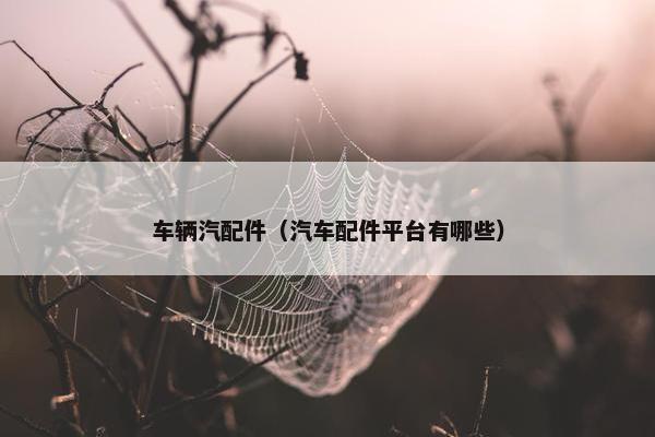 车辆汽配件（汽车配件平台有哪些）
