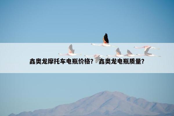 鑫奥龙摩托车电瓶价格？ 鑫奥龙电瓶质量？