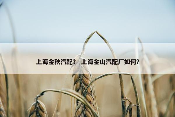 上海金秋汽配？ 上海金山汽配厂如何？