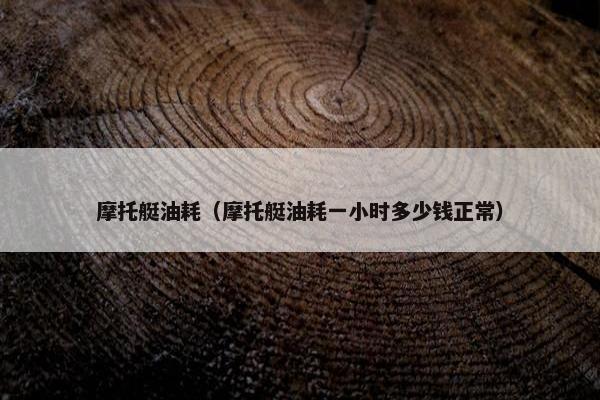 摩托艇油耗（摩托艇油耗一小时多少钱正常）