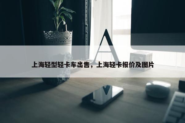 上海轻型轻卡车出售，上海轻卡报价及图片