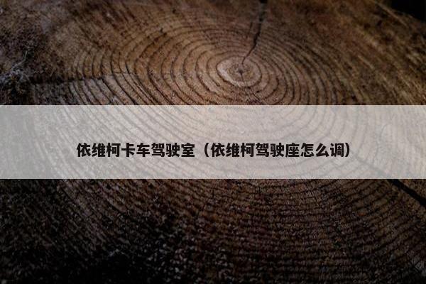 依维柯卡车驾驶室（依维柯驾驶座怎么调）