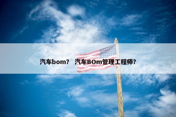 汽车bom？ 汽车BOm管理工程师？