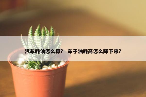汽车耗油怎么算？ 车子油耗高怎么降下来？