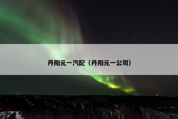 丹阳元一汽配（丹阳元一公司）