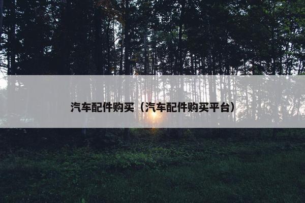 汽车配件购买（汽车配件购买平台）