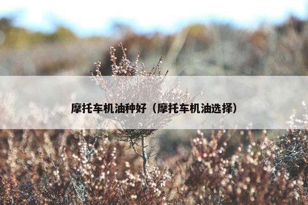 摩托车机油种好（摩托车机油选择）
