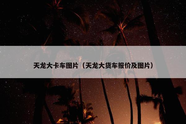 天龙大卡车图片（天龙大货车报价及图片）