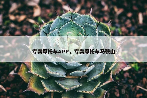 专卖摩托车APP，专卖摩托车马鞍山
