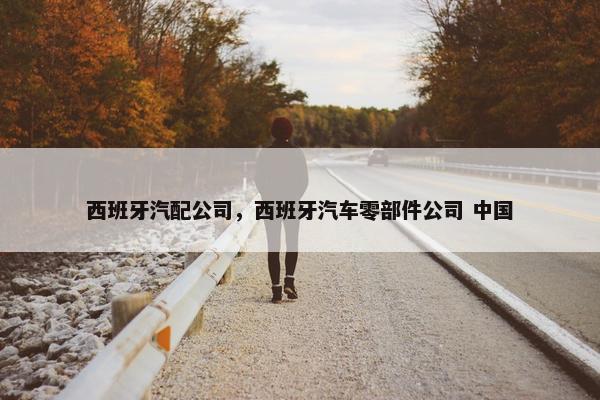 西班牙汽配公司，西班牙汽车零部件公司 中国