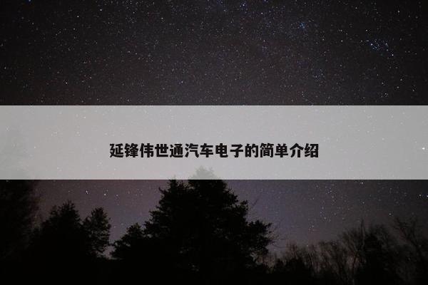 延锋伟世通汽车电子的简单介绍
