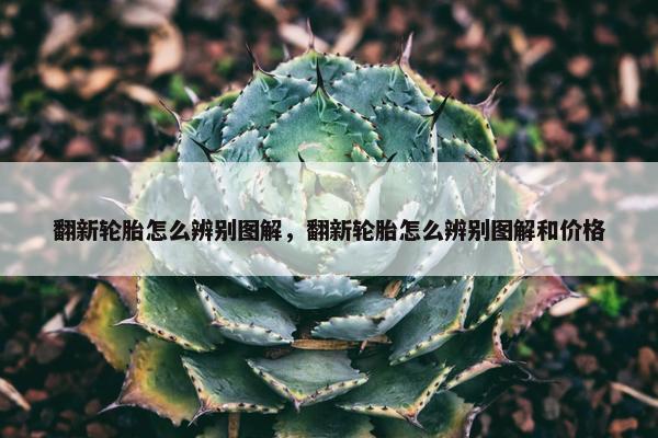 翻新轮胎怎么辨别图解，翻新轮胎怎么辨别图解和价格