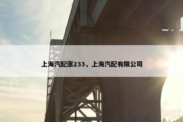 上海汽配涨233，上海汽配有限公司