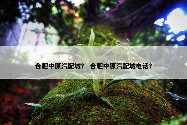 合肥中原汽配城？ 合肥中原汽配城电话？